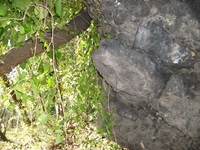 otta Comune-10042012 005
